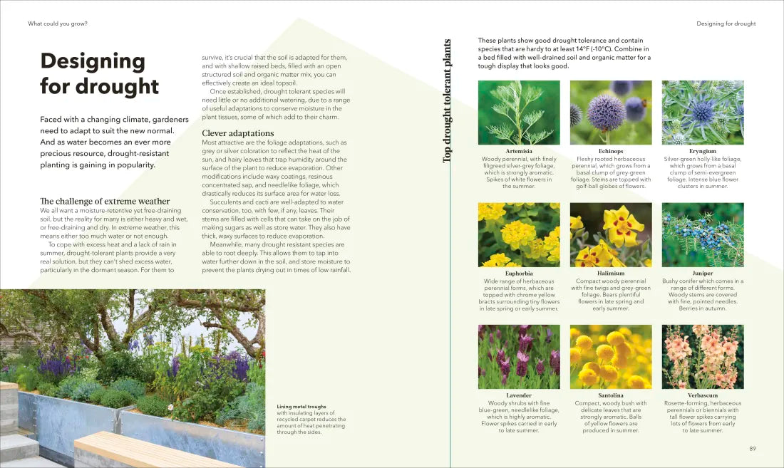 The Raised Bed Book US - Hardback