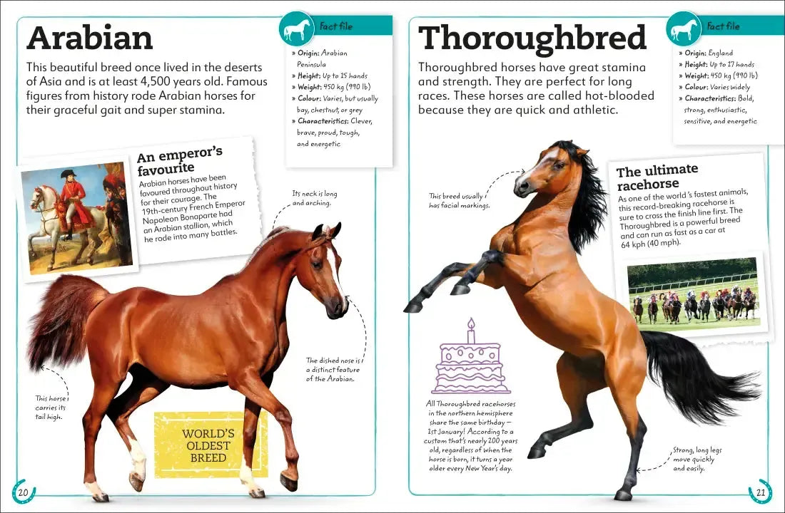 My Book of Horses and Ponies US - Hardback