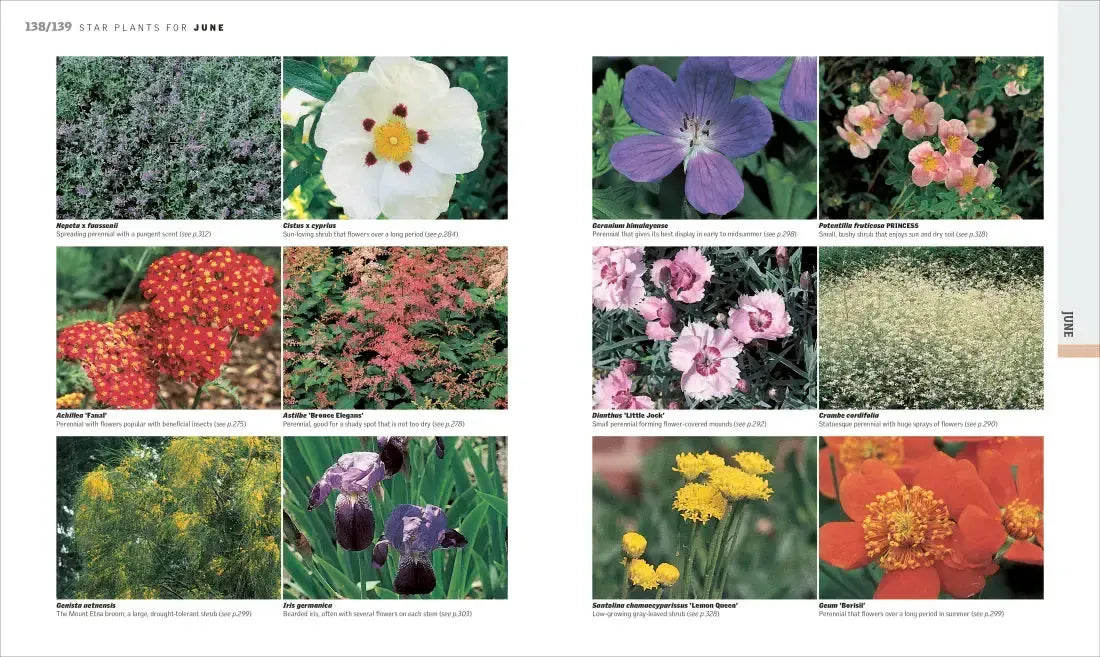 Gardening Through the Year US - Hardback
