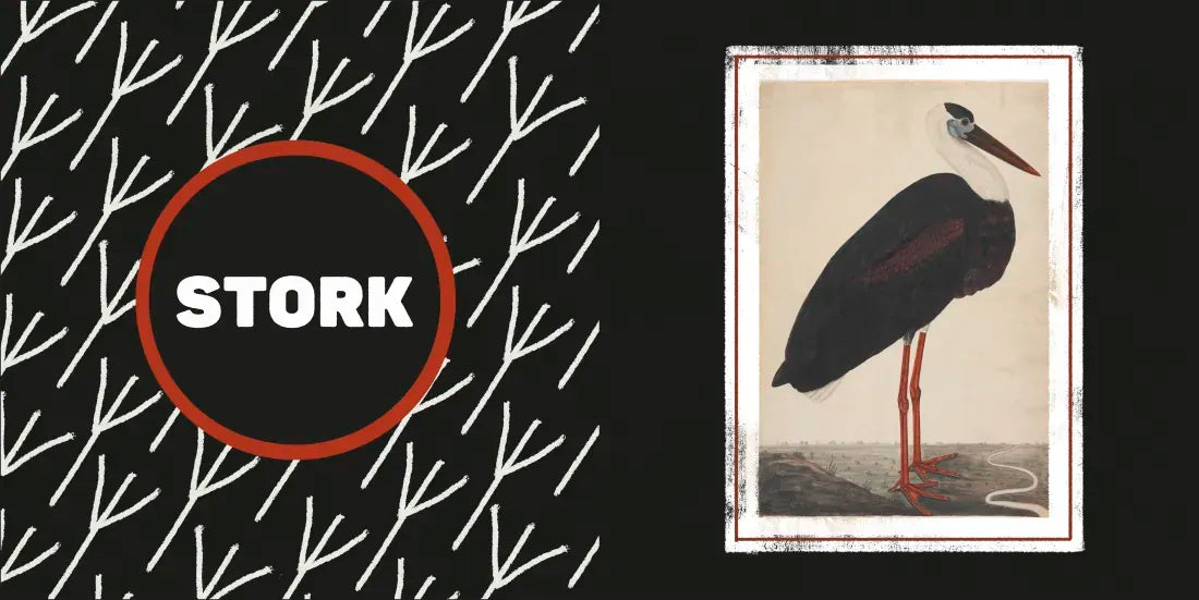 The Met Black and White US - Board book