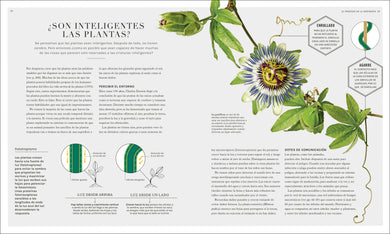 Jardinología (The Science of Gardening) interior 2 (ISBN 9780744093858)