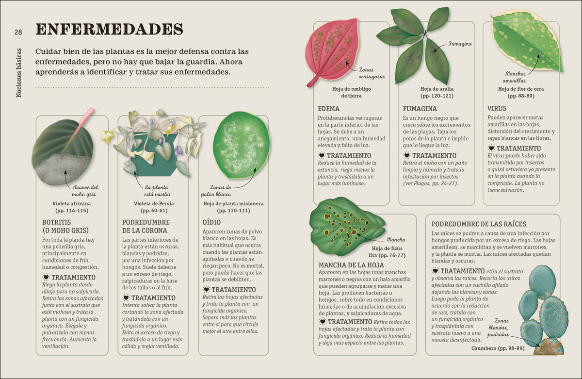 Cómo no matar tus plantas (How Not to Kill Your Houseplant) interior 3 (ISBN 9780744093865)
