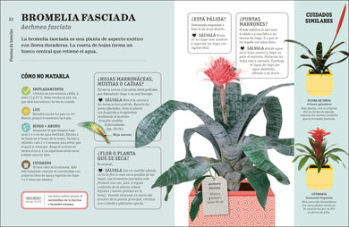 Cómo no matar tus plantas (How Not to Kill Your Houseplant) interior 4 (ISBN 9780744093865)
