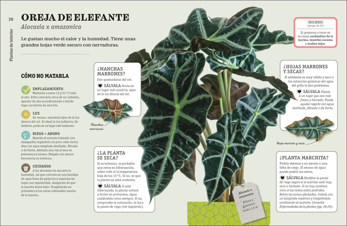 Cómo no matar tus plantas (How Not to Kill Your Houseplant) interior 5 (ISBN 9780744093865)