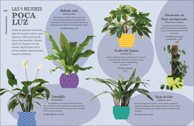 Cómo no matar tus plantas (How Not to Kill Your Houseplant) interior 6 (ISBN 9780744093865)