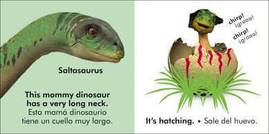 Bilingual Baby Touch and Feel Baby Dinosaur - Los dinosaurios bebé US - Board book