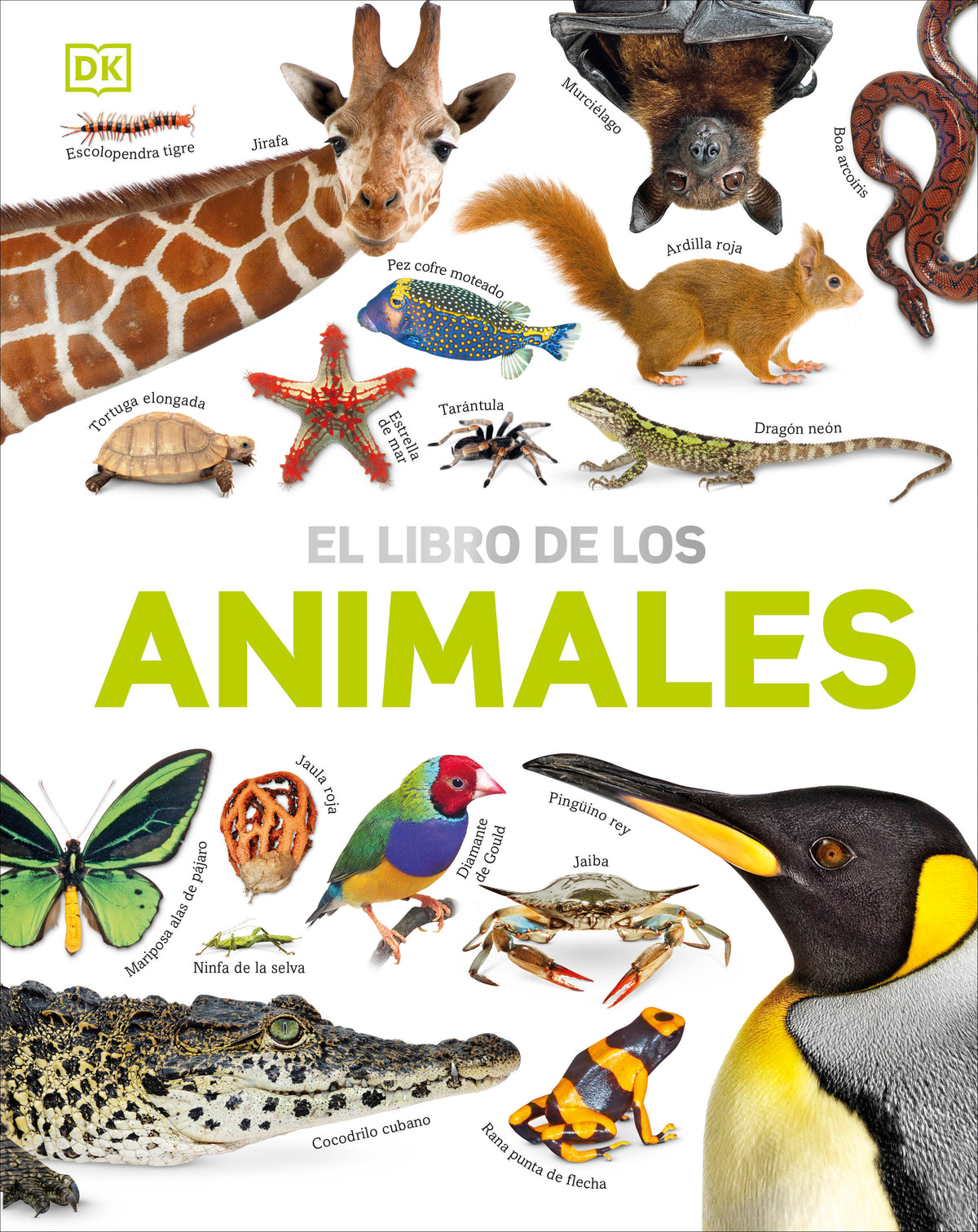 El Libro de los animales (Our World in Pictures: The Animal Book) cover (ISBN 9780744094107)