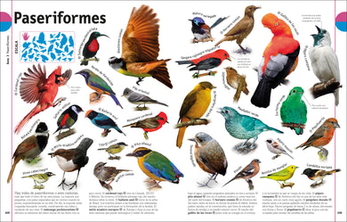 El Libro de los animales (Our World in Pictures: The Animal Book) interior 2 (ISBN 9780744094107)