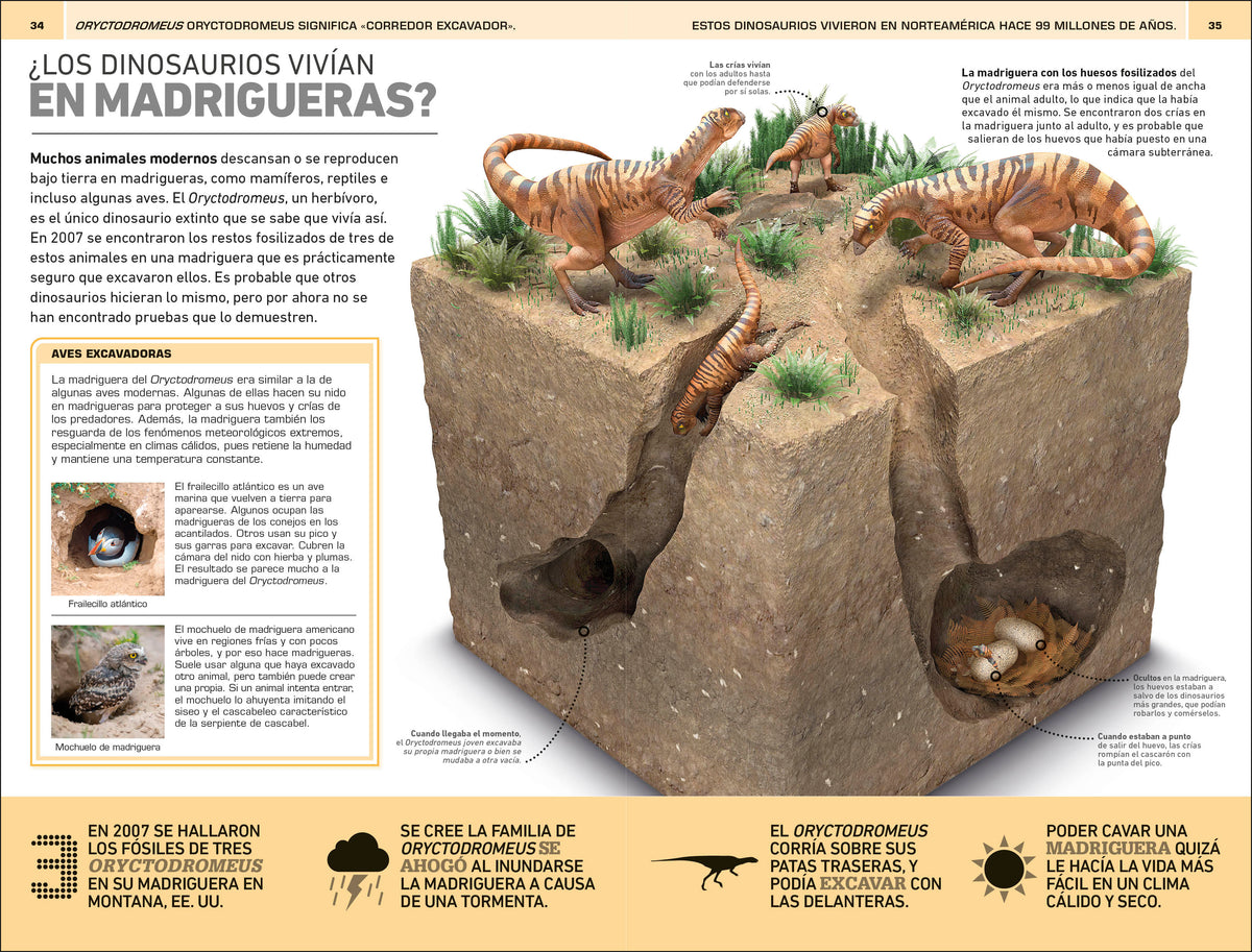 Dinosaurios: 1000 curiosidades increíble (1,000 Amazing Dinosaurs Facts) interior 5 (ISBN 9780744094749)
