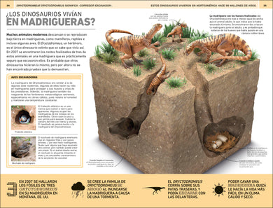 Dinosaurios: 1000 curiosidades increíble (1,000 Amazing Dinosaurs Facts) interior 5 (ISBN 9780744094749)