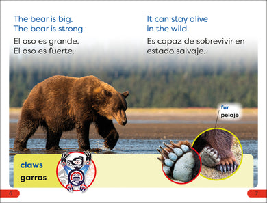 DK Super Readers Pre-level English-Spanish Bilingual A Bear's Tale - Relato de un oso interior 1 (ISBN 9780744094909)