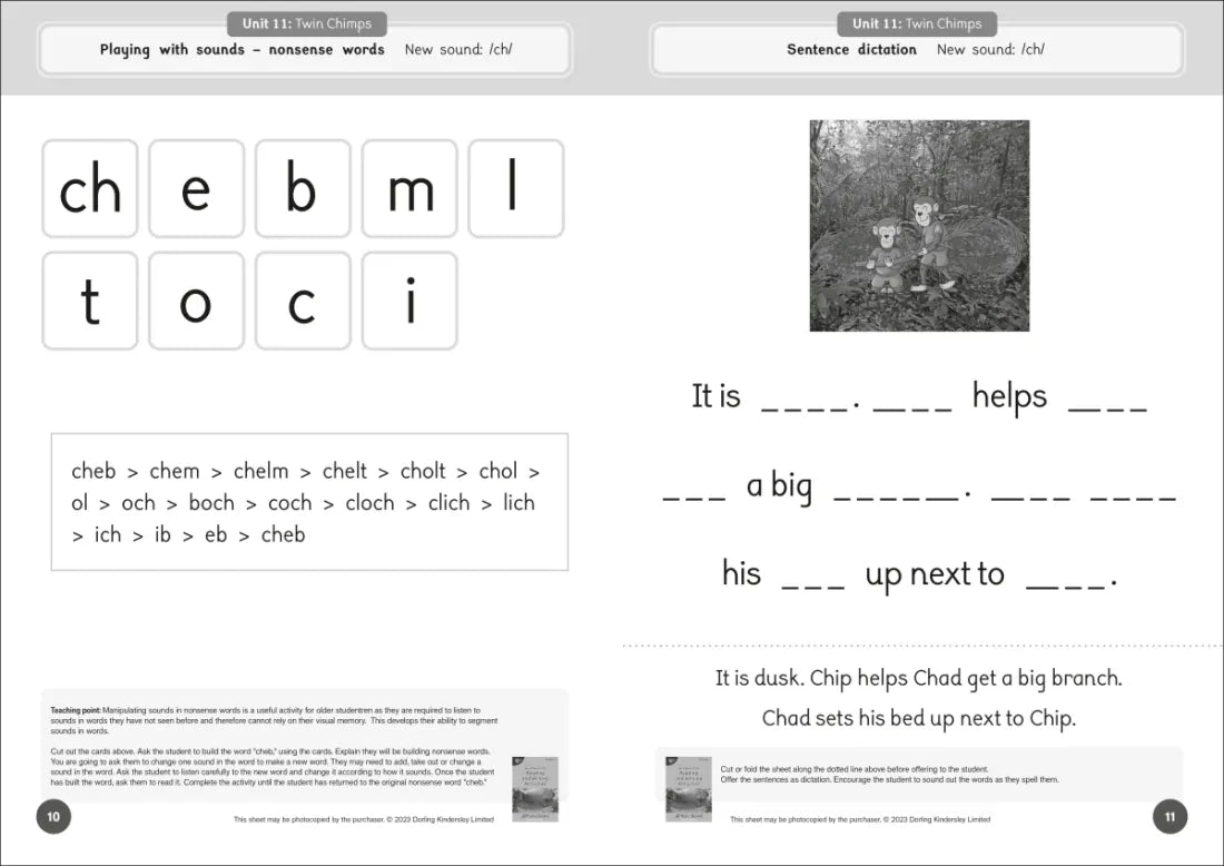 Phonic Books Dandelion Readers Reading and Writing Activities Set 2 Units 11-20 Twin Chimps (Two Letter Spellings sh, ch, th, ng, qu, wh, -ed, -ing, -le) US - Paperback / softback