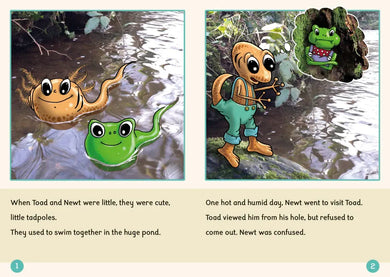 Phonic Books Dandelion Readers Further Spellings and Suffixes Level 4 US - Multiple-component retail product, boxed