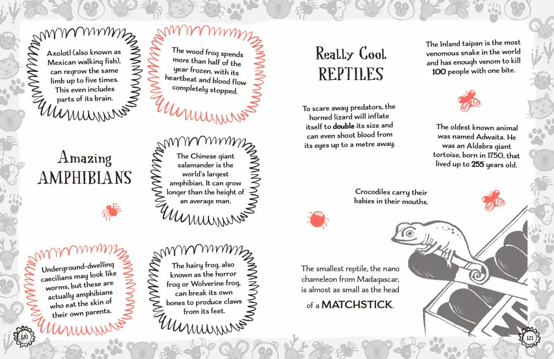 Radzi's Incredible Facts US - Paperback / softback