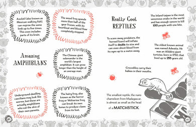 Radzi's Incredible Facts US - Paperback / softback