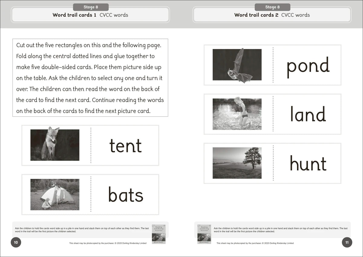 Phonic Books Dandelion World Reading and Writing Activities for Stages 8-15 (Consonant Blends and Consonant Teams) US - Paperback / softback
