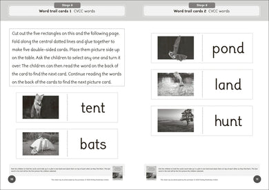 Phonic Books Dandelion World Reading and Writing Activities for Stages 8-15 (Consonant Blends and Consonant Teams) US - Paperback / softback