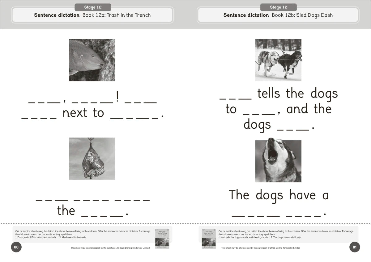 Phonic Books Dandelion World Reading and Writing Activities for Stages 8-15 (Consonant Blends and Consonant Teams) US - Paperback / softback