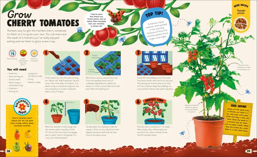 From Plant to Plate US - Hardback