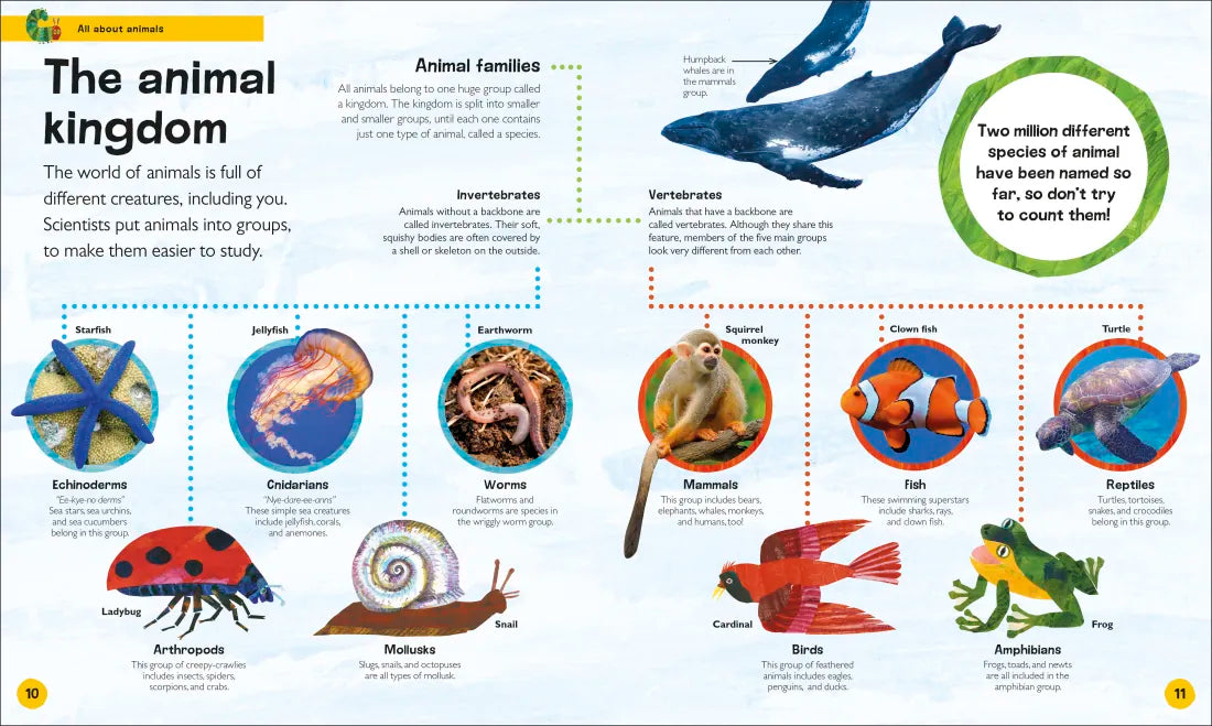 The Very Hungry Caterpillar's Very First Animal Encyclopedia US - Hardback