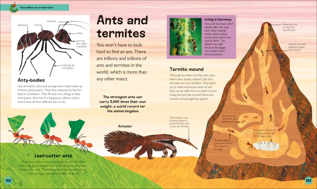 The Very Hungry Caterpillar's Very First Animal Encyclopedia US - Hardback