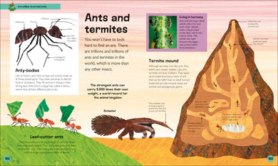 The Very Hungry Caterpillar's Very First Animal Encyclopedia US - Hardback