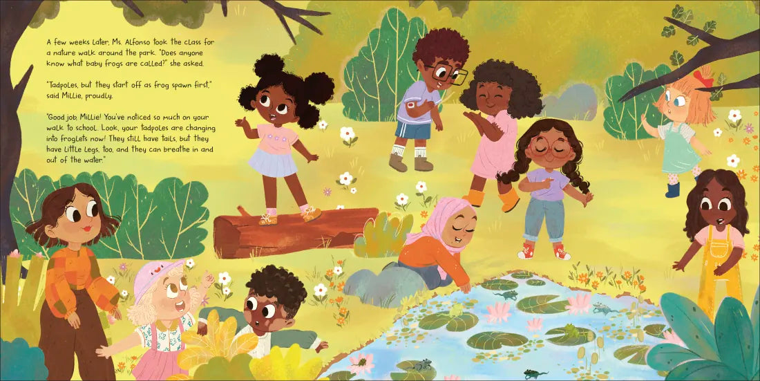 The Pond in the Park US - Hardback