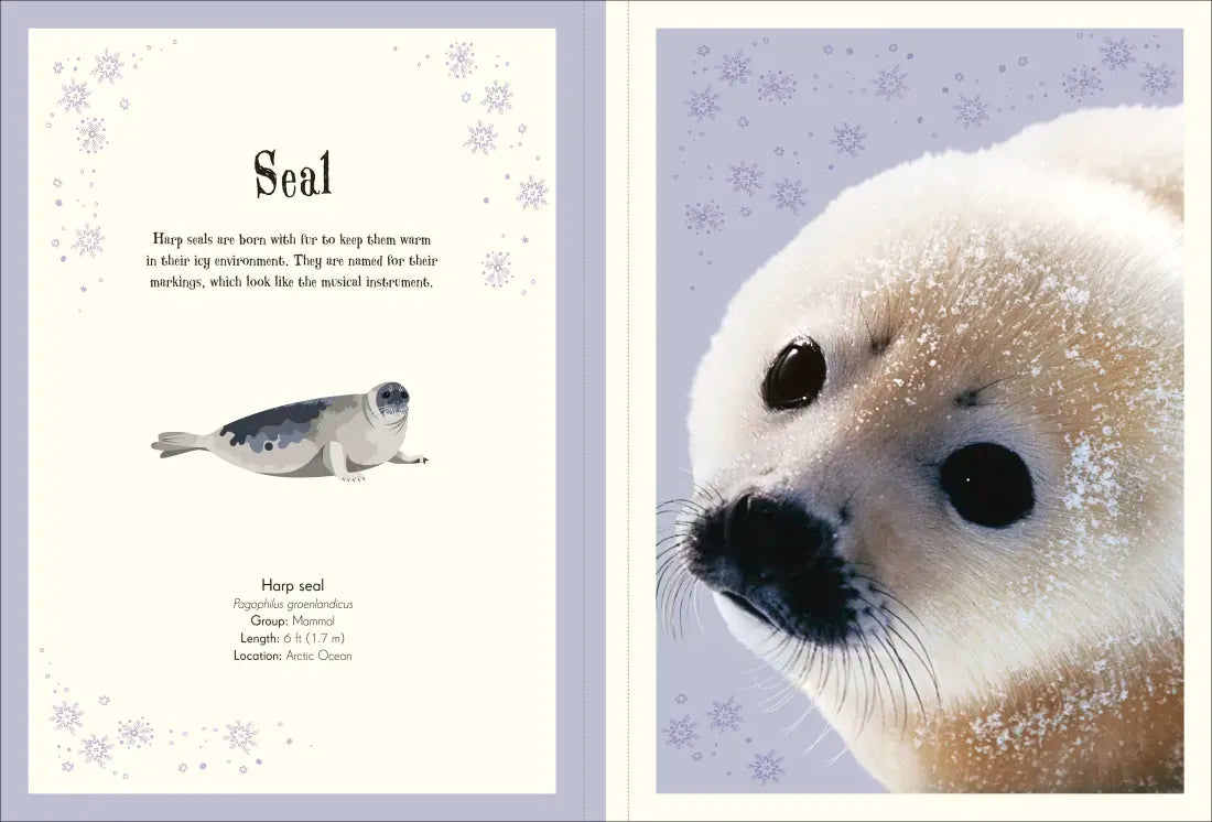 An Anthology of Intriguing Animals Poster Book US - Paperback / softback