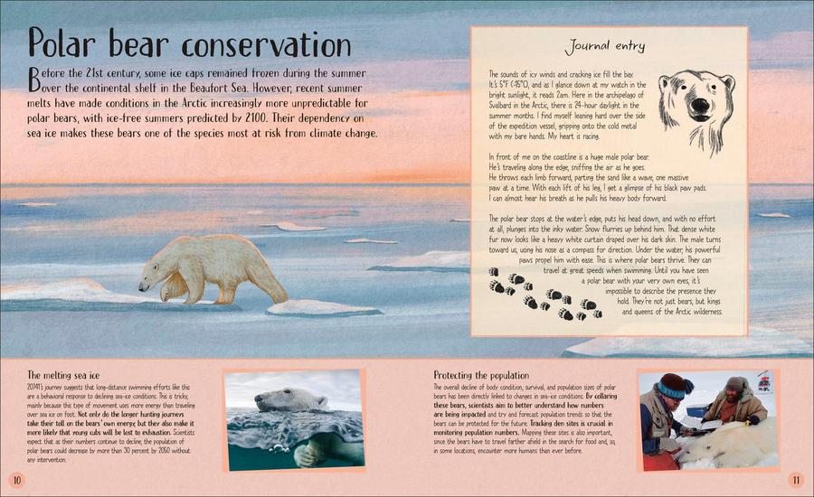 Life in the Wild US - Hardback