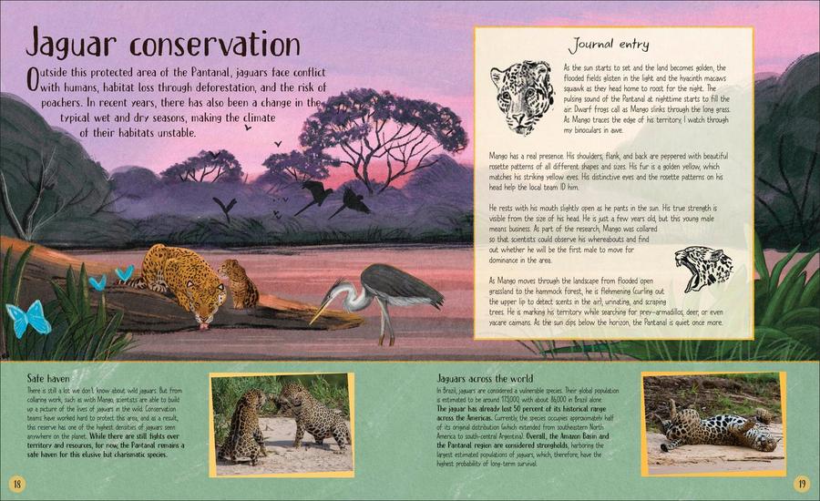 Life in the Wild US - Hardback