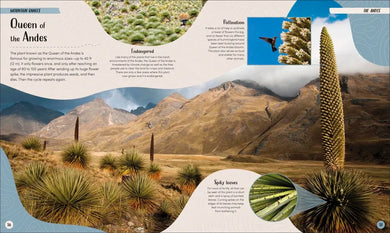 Mountain US - Hardback