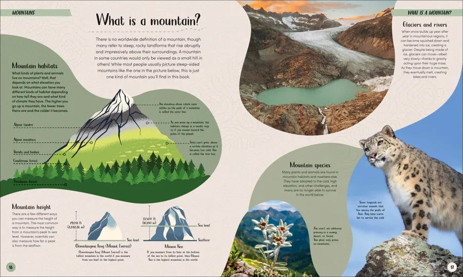 Mountain US - Hardback