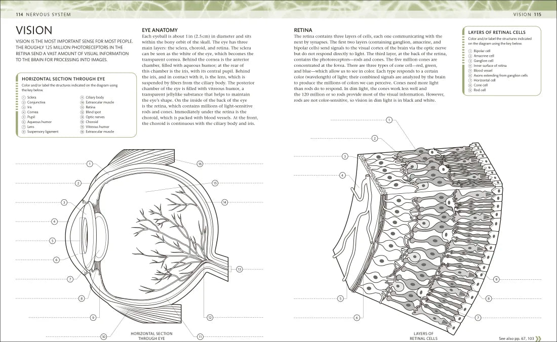 The Human Body Coloring Book US - Book
