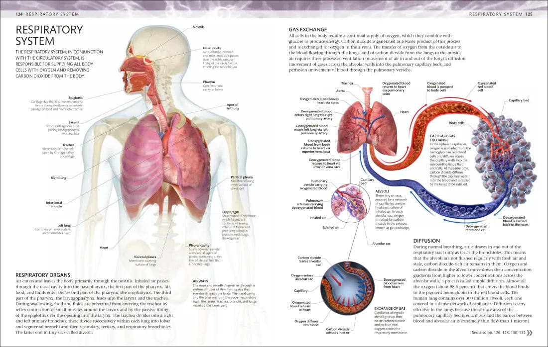 The Human Body Coloring Book US - Book