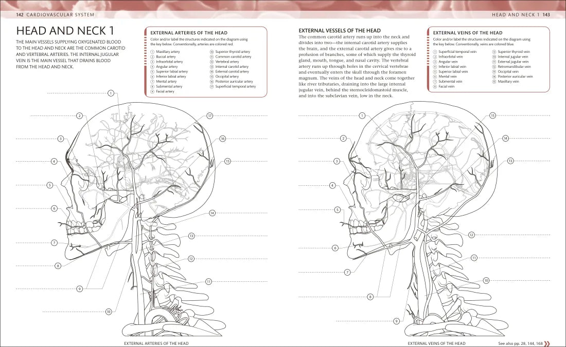 The Human Body Coloring Book US - Book