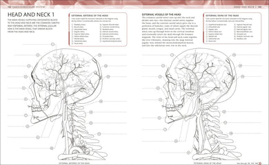 The Human Body Coloring Book US - Book