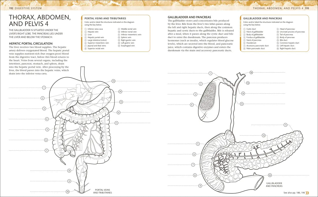The Human Body Coloring Book US - Book