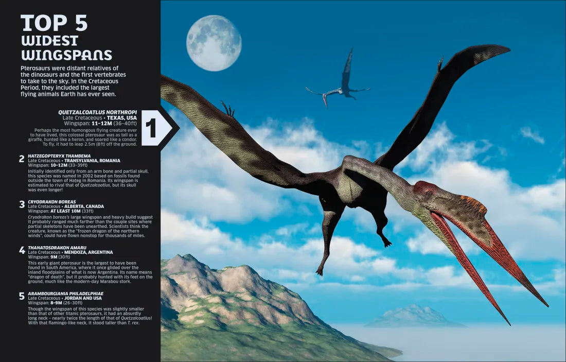 Our World in Numbers Dinosaurs & Other Prehistoric Life US - Hardback