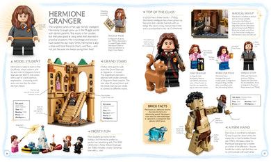 LEGO Harry Potter Visual Dictionary US - Multiple-component retail product