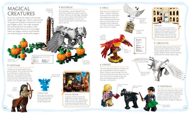 LEGO Harry Potter Visual Dictionary US - Multiple-component retail product