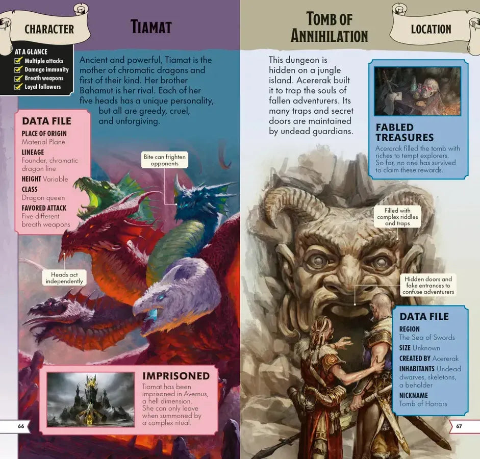 Dungeons & Dragons Pocket Expert US - Paperback / softback