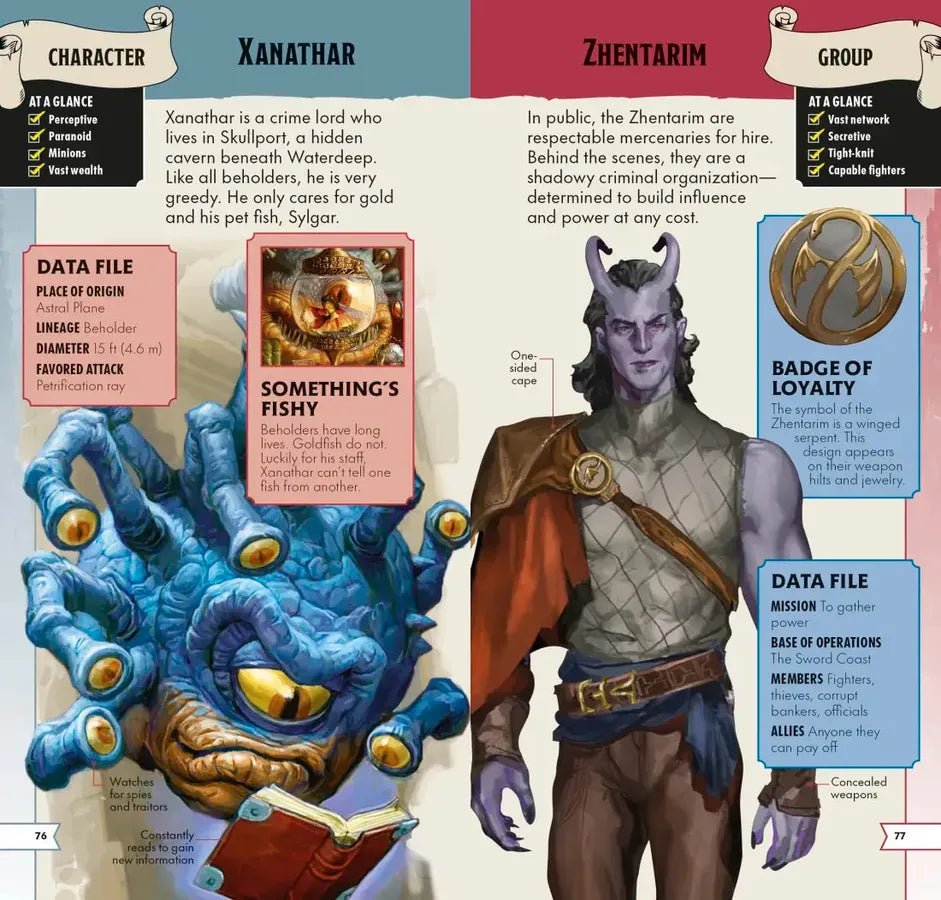 Dungeons & Dragons Pocket Expert US - Paperback / softback