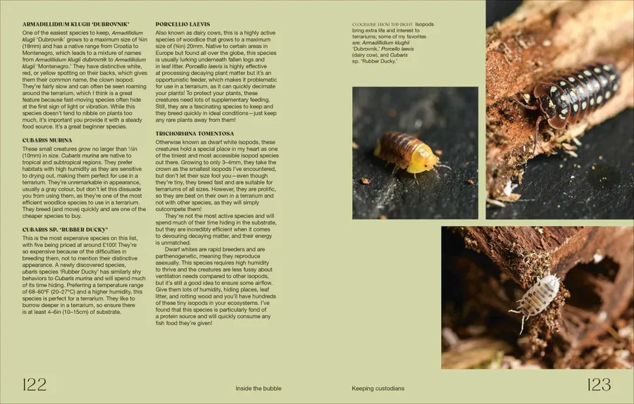 Hello Tiny World US - Hardback