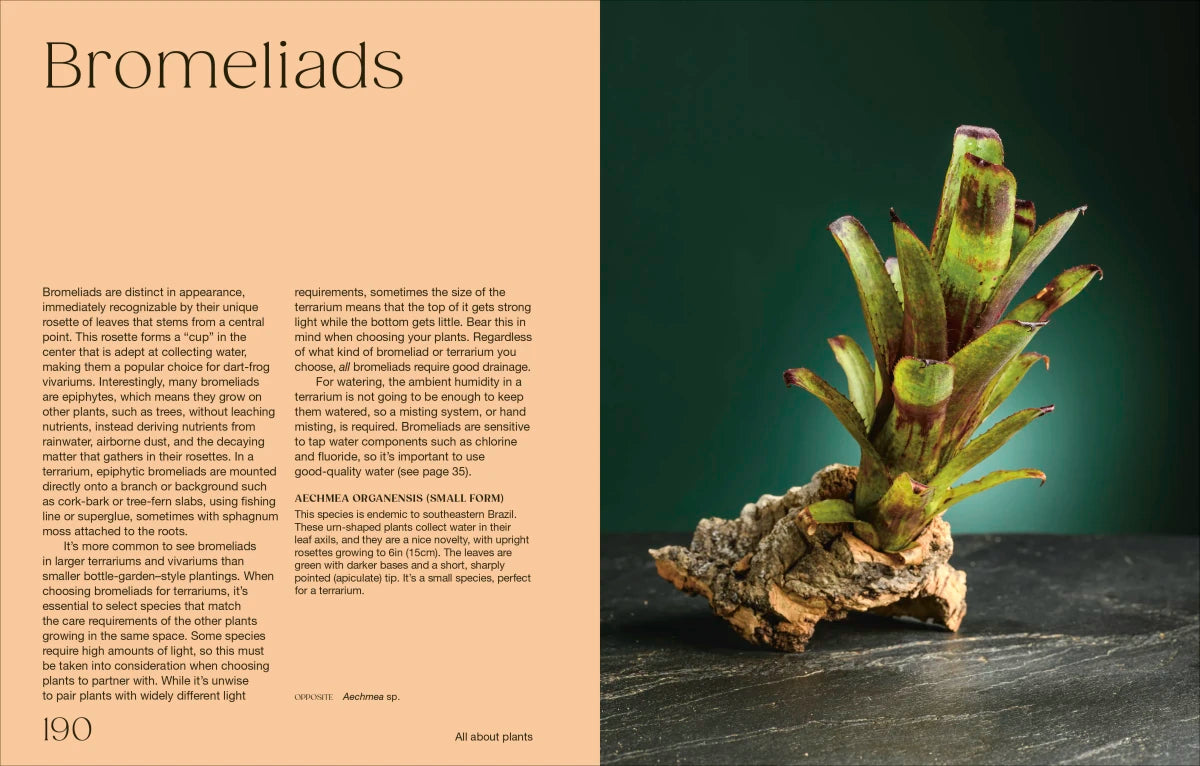 Hello Tiny World US - Hardback