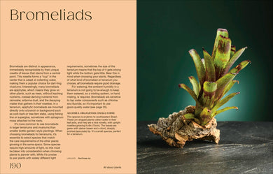 Hello Tiny World US - Hardback