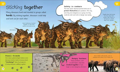 My Encyclopedia of Very Important Dinosaurs US - Hardback