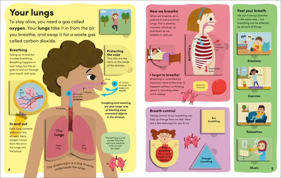 You and Your Body US - Board book