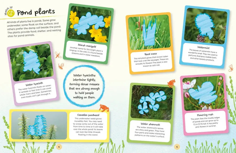 Ultimate Sticker Book Garden Pond US - Paperback / softback