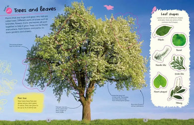 Ultimate Sticker Book Trees and Leaves US - Paperback / softback