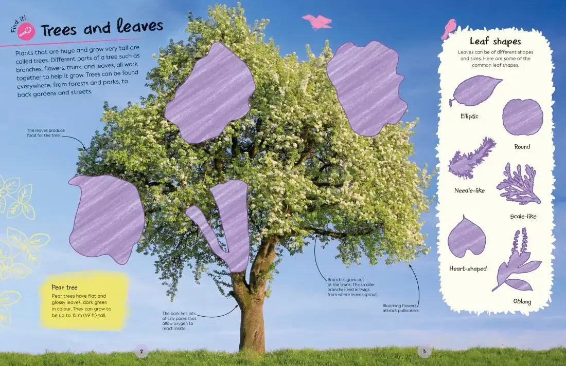 Ultimate Sticker Book Trees and Leaves US - Paperback / softback
